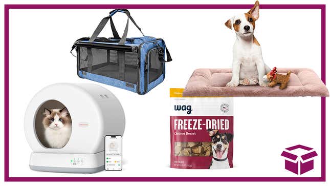 Score one for your fur babies: Amazon Pet Day is a half-price extravaganza.