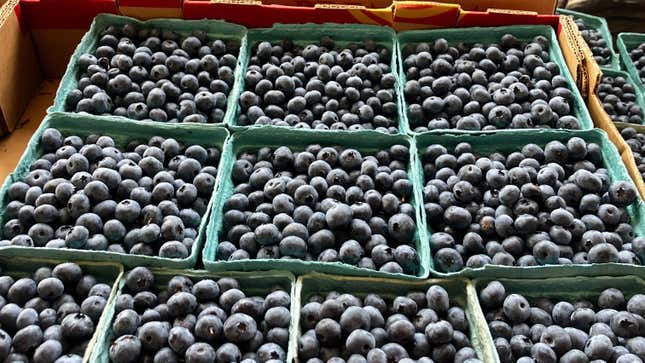 Pints of blueberries at farmer's market