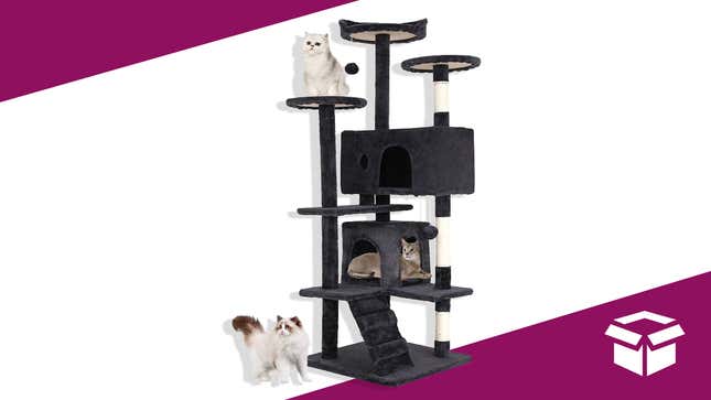 Let your cat enjoy their new luxury activity center.