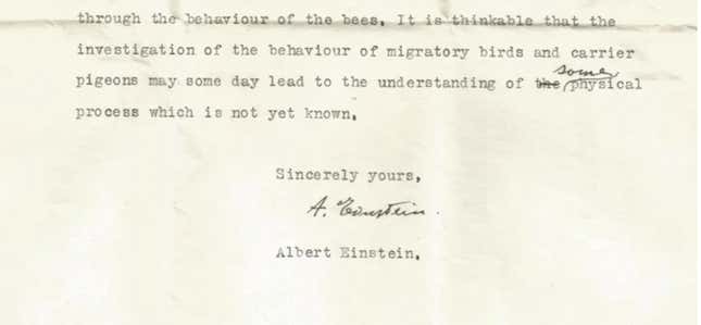 Imagen para el artículo titulado Descubren una carta perdida de Einstein en la que predijo la capacidad de las aves para orientarse con un sexto sentido