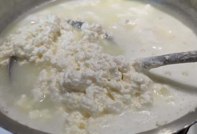 Image for article titled Turn Creamy Ricotta Into a Hard Grating Cheese