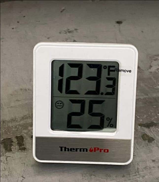 Image for article titled UPS drivers are collapsing from heat exhaustion—and bringing it to the bargaining table