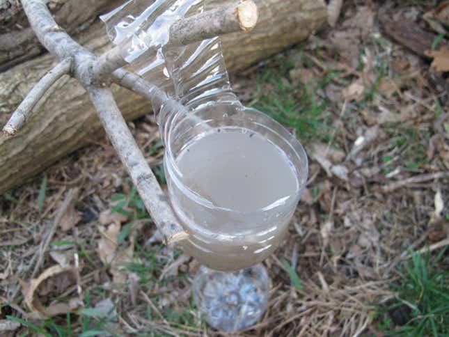 Image for article titled The Swiss Army Tampon: A Life-Saving Wilderness Survival Tool
