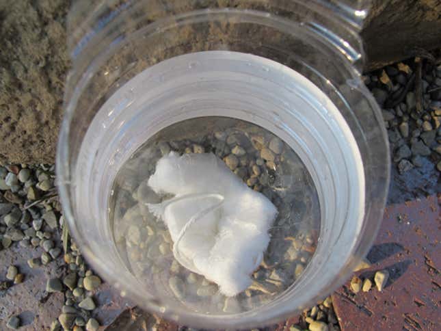 Image for article titled The Swiss Army Tampon: A Life-Saving Wilderness Survival Tool
