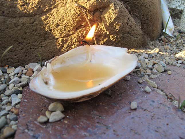 Image for article titled The Swiss Army Tampon: A Life-Saving Wilderness Survival Tool