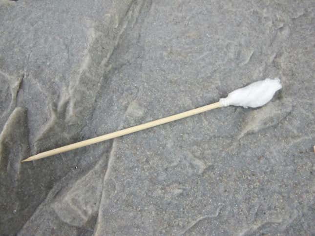Image for article titled The Swiss Army Tampon: A Life-Saving Wilderness Survival Tool