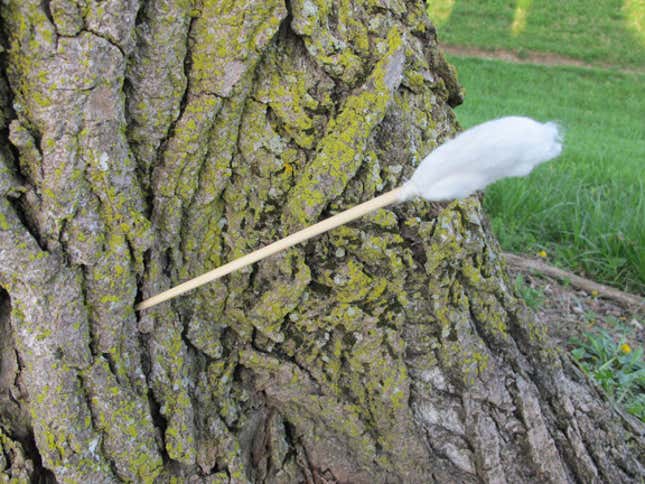 Image for article titled The Swiss Army Tampon: A Life-Saving Wilderness Survival Tool