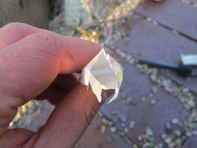 Image for article titled The Swiss Army Tampon: A Life-Saving Wilderness Survival Tool