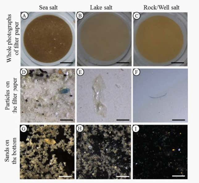 Image for article titled There are probably tiny pieces of plastic waste in your table salt