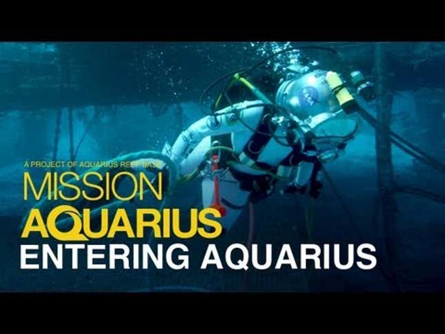 This Is How You Live at the Bottom of the Ocean