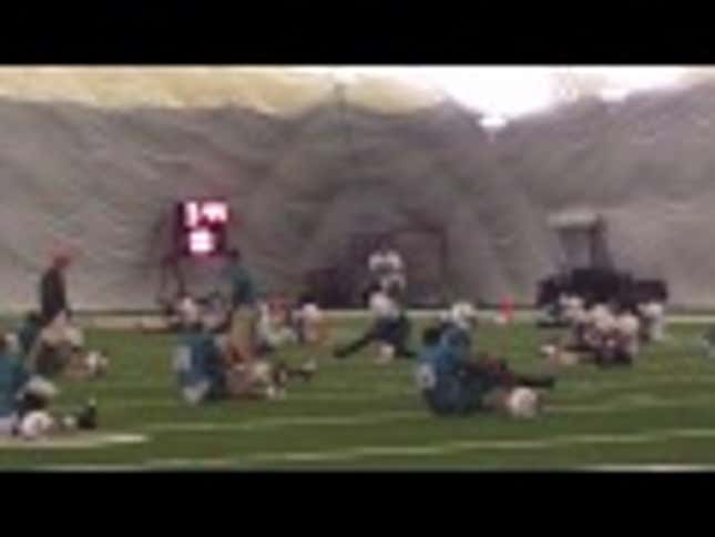 Dolphins Fans, This Is Your Quarterback