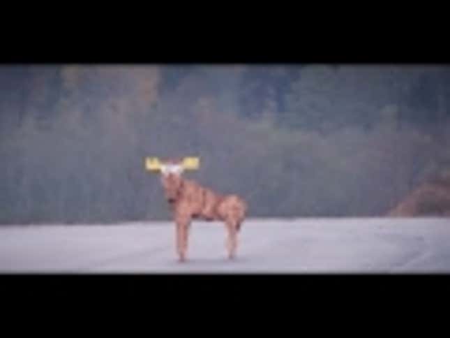 Watch A Scion FR-S Fail The 'Moose Test'