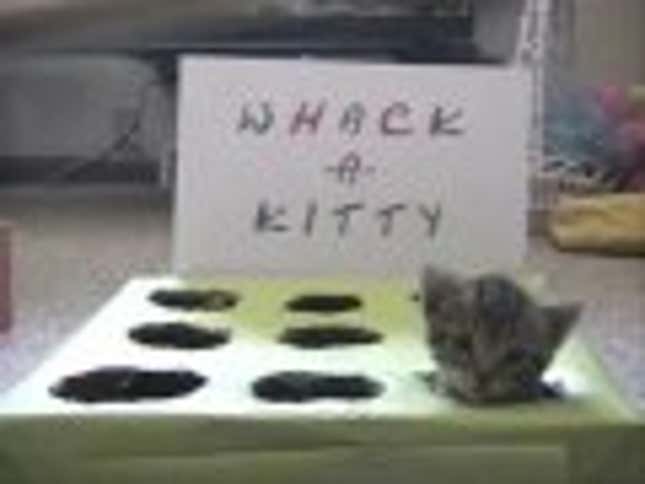 Whac-A-Kitty Is a Case of Cruel and Unusual Cuteness