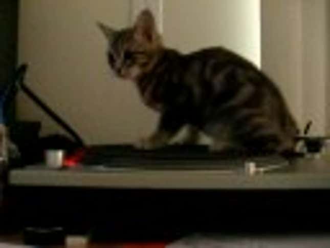 The Most Adorable Audio Component