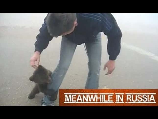 Baby Bear Gives Adorably Vicious Hugs to Some Lucky Guy’s Leg