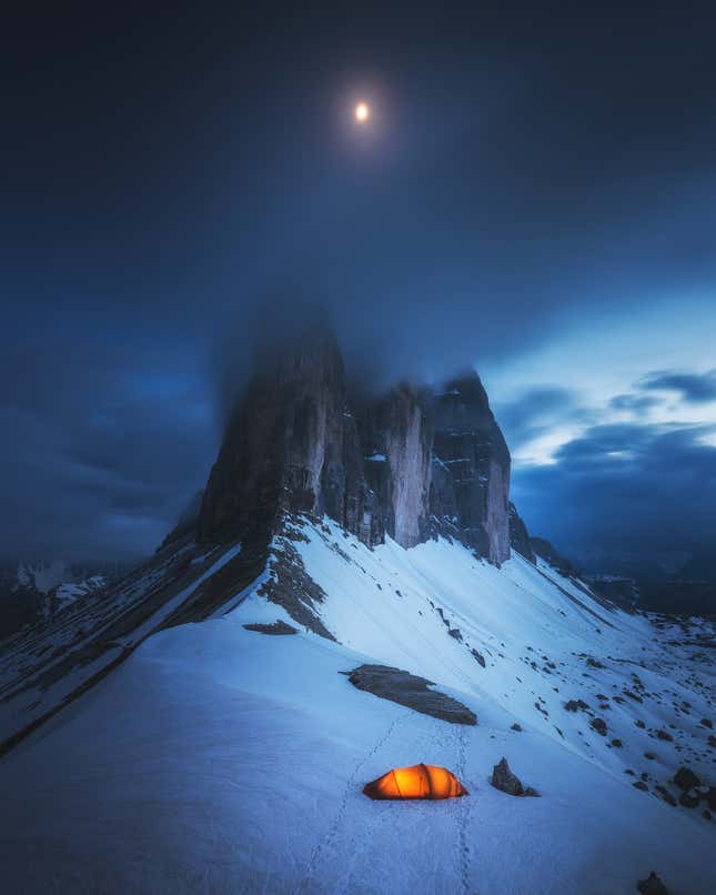 Image for article titled Epic and intimate glimpses of nature from the Sony World Photography Awards