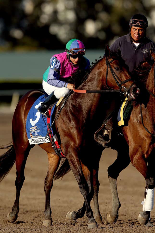 Image for article titled Can Dirtbags, Pretty Ladies, And Twitter Save Horse Racing?