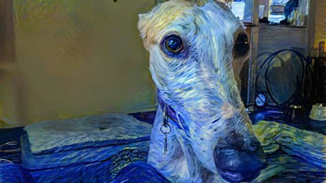 An AI-generated image of a dog.