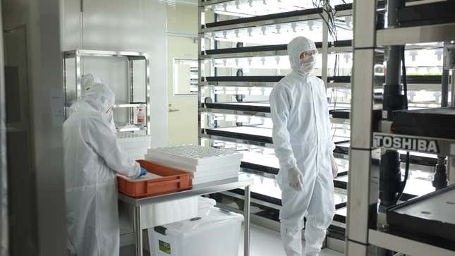 Toshiba farm germination room