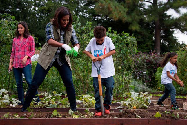 A harvesting event at the White House Garden