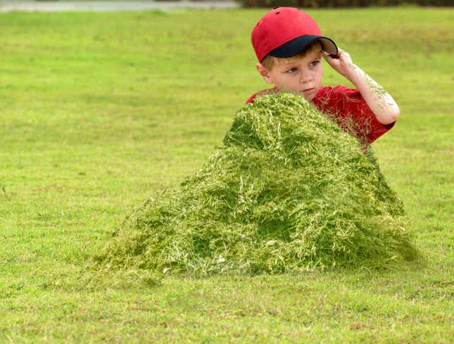 Image for article titled Tee Ball Outfielder Buried Up To Chin In Ripped-Out Grass