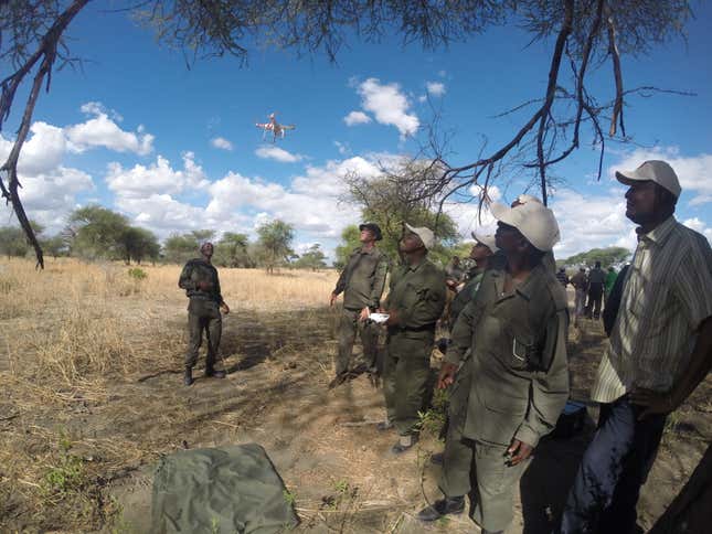 Image for article titled Watch how drones keep elephants away from danger in Tanzania