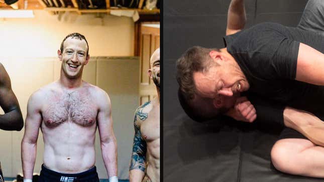 Zuckerberg posing shirtless, next to Musk grappling with podcaster Lex Fridman