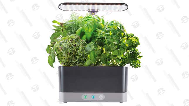 Grow Your Own Herbs With This 47% Off AeroGarden