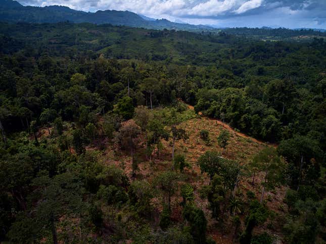 Image for article titled Nickel Mining Is Killing The Rainforest In The Philippines