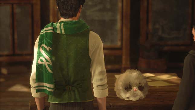 A student is seen wearing a Slytherin scarf while looking at an animal sitting on a classroom table.