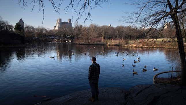 A visitor stands in Central Park on January 30, 2023. 