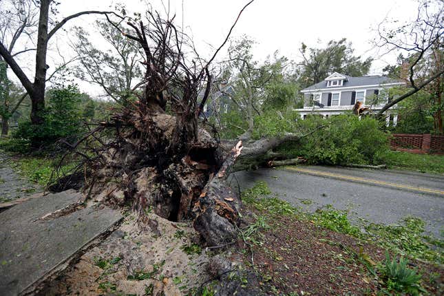 Image for article titled Photos: Hurricane Florence makes landfall