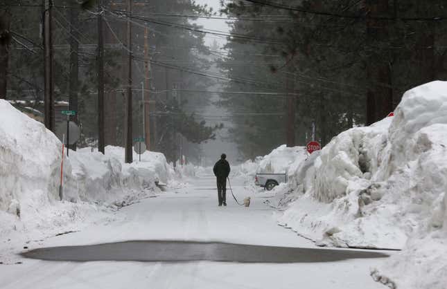 A man walks his dog on a snow covered street as snow begins to fall on March 21, 2023 in South Lake Tahoe, California. 