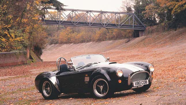 a photo of the AC Cobra sports car on a race track covered in leaves. 