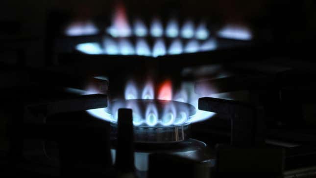 Image for article titled U.S. Isn&#39;t Considering Gas Stove Ban, Actually