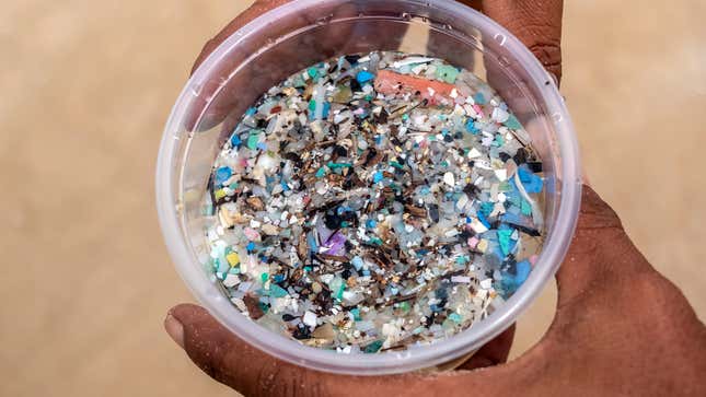 Image for article titled What You Need To Know About Microplastics
