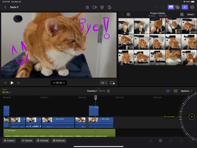 Image for article titled What’s It Like to Use Apple&#39;s Final Cut Pro on an iPad?