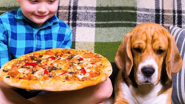 Little boy holding pizza, sitting next to beagle