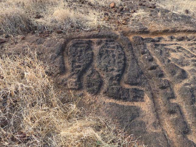 Image for article titled Ancient rock carvings in India hint at a 12,000-year-old lost civilisation