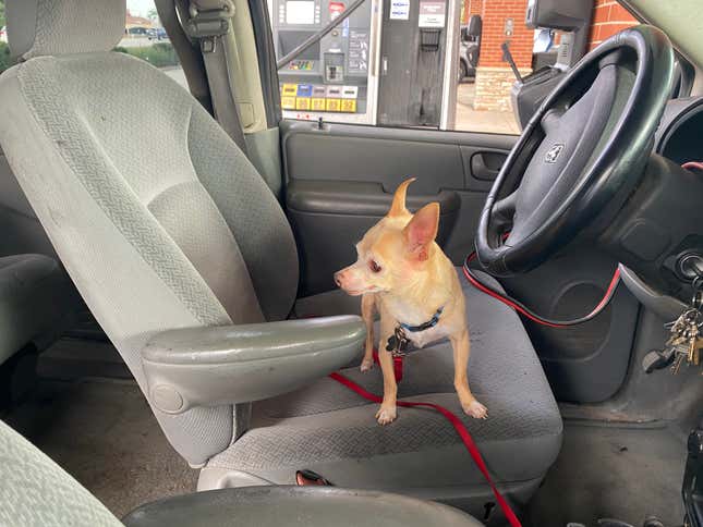 Image for article titled I Bought A $900 Rustbucket Minivan And Took It On A 1,500-Mile Adventure