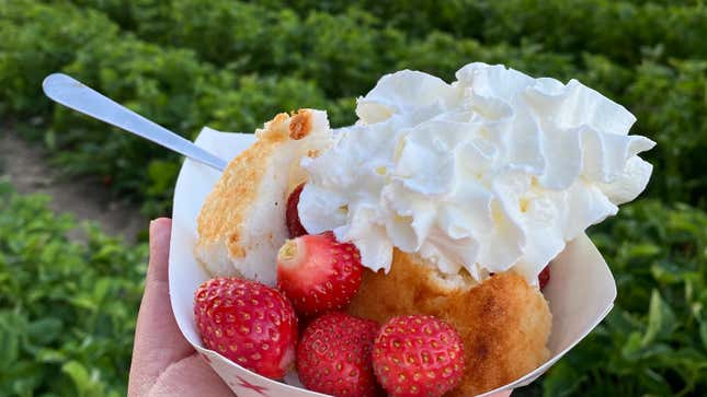 Image for article titled Take These Shortcake Fixings Along When You Go Berry-Picking