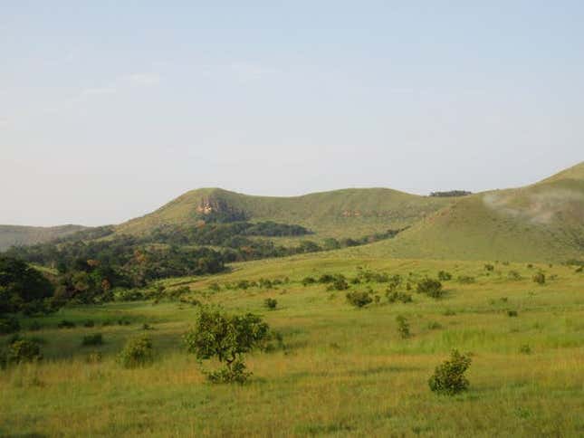 A mosaic of grassland and forest in Gabon.