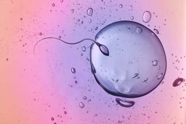 Image for article titled Startup:「精子バンク」に巨額が集まる理由