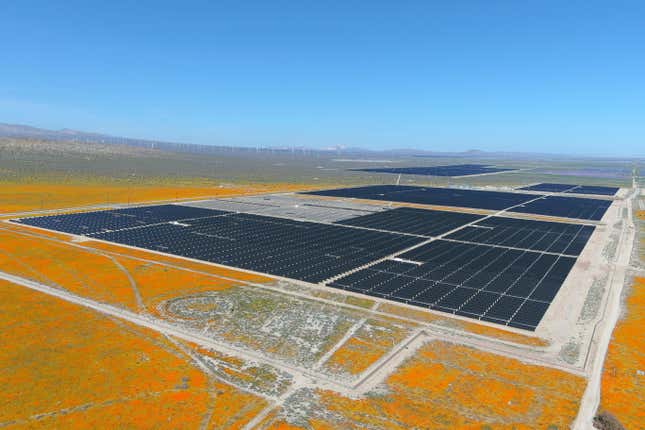 Flowers bloom around a solar installation near Lancaster, California on April 21, 2023.