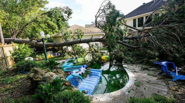 A toppled tree sits in the backyard of Grace Hatfield’s home, Thursday, June 22, 2023 in Spring, Texas, after an overnight storm blew through the area, knocking out power and downing trees.