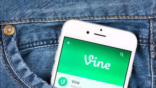 The Vine app pictured on a cell phone. 