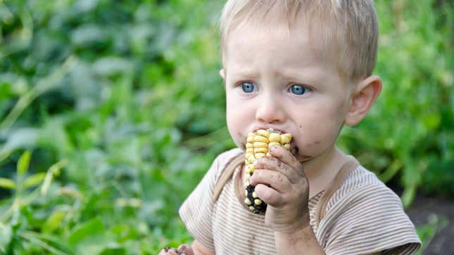 Baby eating a dirty ear of corn