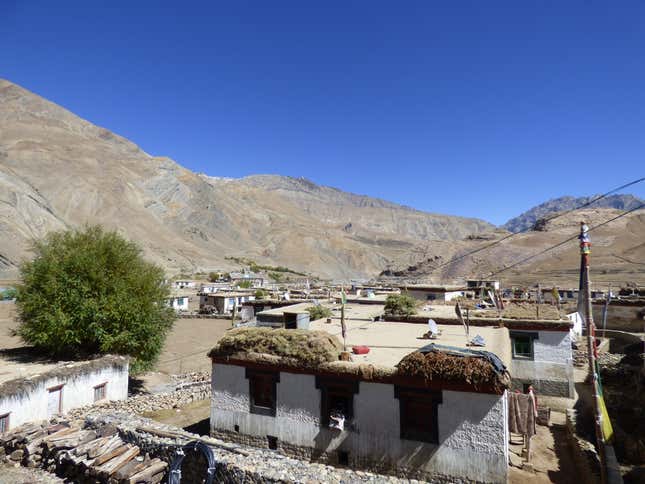 Fodder stored on the flat roofs of houses in Sangam village for the winter.