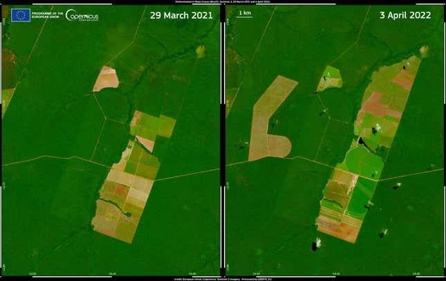 Mato Grosso seen in satellite images, one year apart. 
