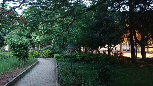 India-Bengaluru-parks-Nagawara